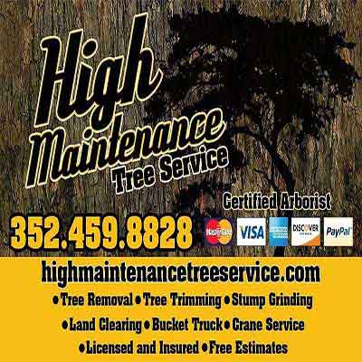 Tree trimming in a Florida yard
